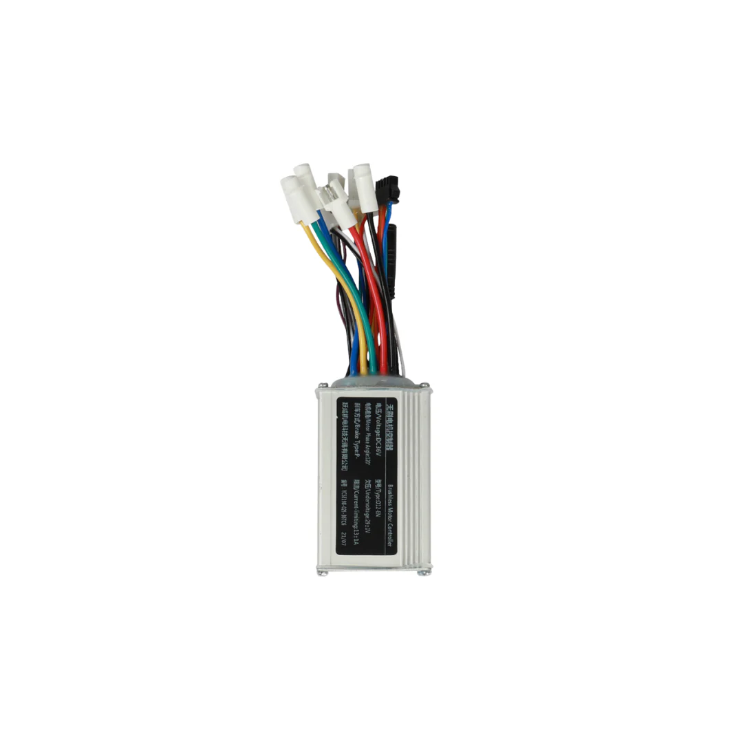 Fiido D21 Controller